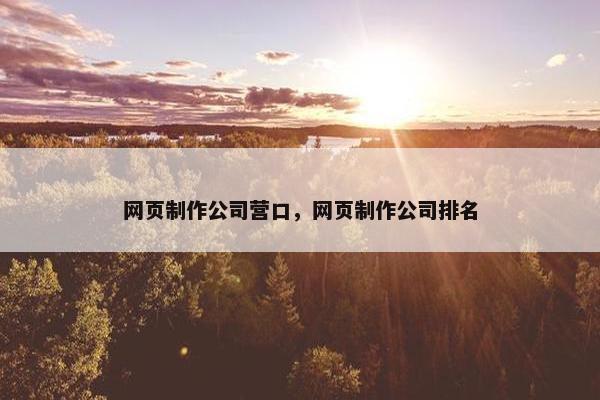 网页制作公司营口，网页制作公司排名