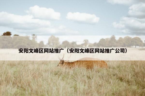 安阳文峰区网站推广（安阳文峰区网站推广公司）