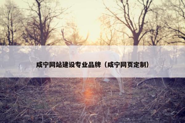 咸宁网站建设专业品牌（咸宁网页定制）