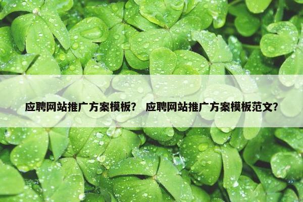 应聘网站推广方案模板？ 应聘网站推广方案模板范文？