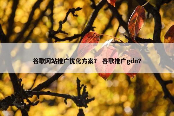 谷歌网站推广优化方案？ 谷歌推广gdn？