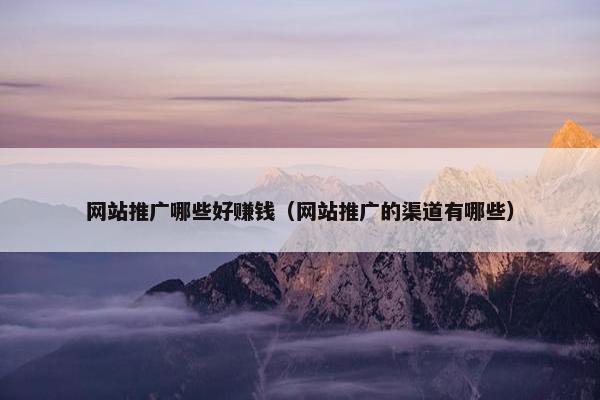 网站推广哪些好赚钱（网站推广的渠道有哪些）