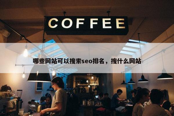 哪些网站可以搜索seo排名，搜什么网站