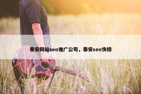 泰安网站seo推广公司，泰安seo快排