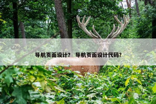 导航页面设计？ 导航页面设计代码？