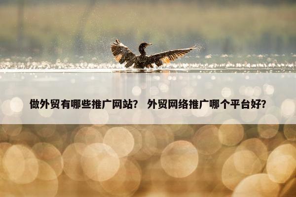 做外贸有哪些推广网站？ 外贸网络推广哪个平台好？