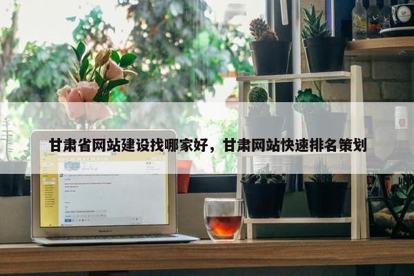 甘肃省网站建设找哪家好，甘肃网站快速排名策划