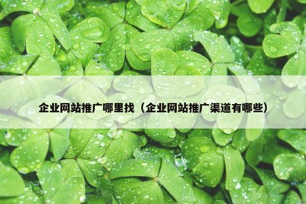 企业网站推广哪里找（企业网站推广渠道有哪些）