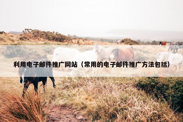 利用电子邮件推广网站（常用的电子邮件推广方法包括）
