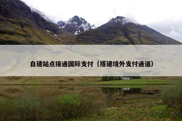 自建站点接通国际支付（搭建境外支付通道）