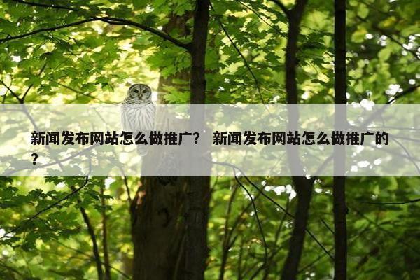 新闻发布网站怎么做推广？ 新闻发布网站怎么做推广的？