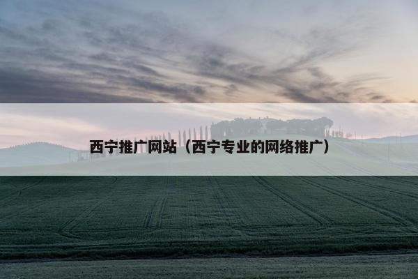 西宁推广网站（西宁专业的网络推广）