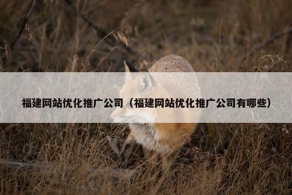 福建网站优化推广公司（福建网站优化推广公司有哪些）