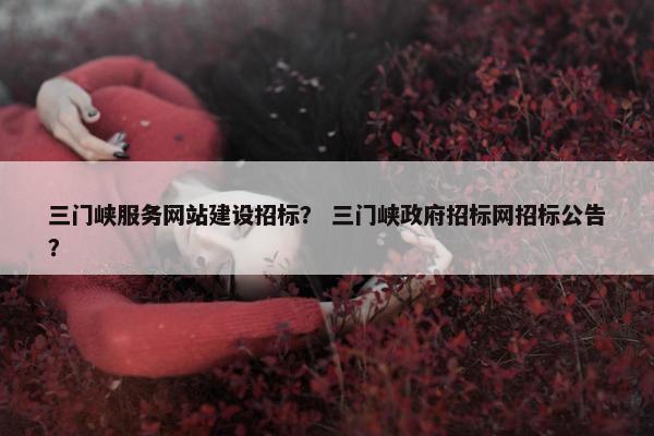 三门峡服务网站建设招标？ 三门峡政府招标网招标公告？