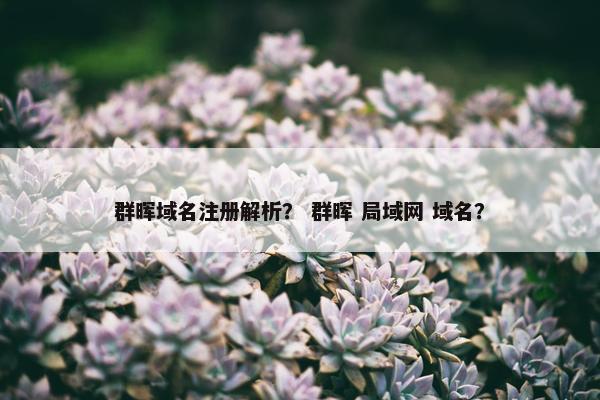 群晖域名注册解析？ 群晖 局域网 域名？