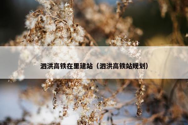 泗洪高铁在里建站（泗洪高铁站规划）