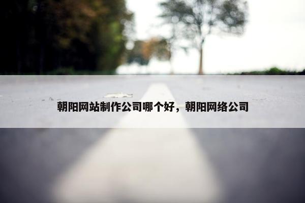 朝阳网站制作公司哪个好，朝阳网络公司