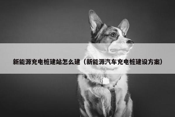 新能源充电桩建站怎么建（新能源汽车充电桩建设方案）