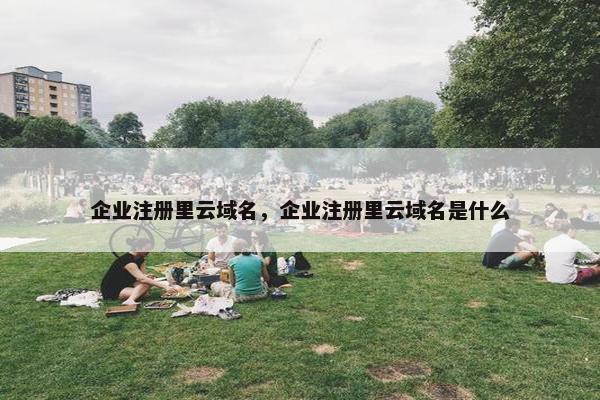 企业注册里云域名，企业注册里云域名是什么