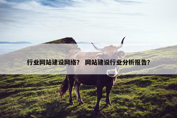 行业网站建设网络？ 网站建设行业分析报告？