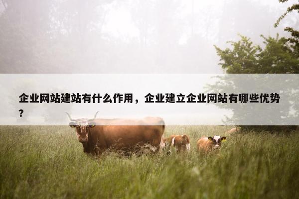 企业网站建站有什么作用，企业建立企业网站有哪些优势?