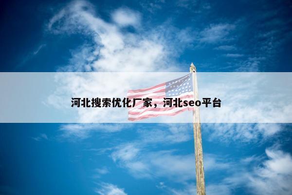 河北搜索优化厂家，河北seo平台