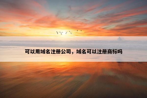 可以用域名注册公司，域名可以注册商标吗