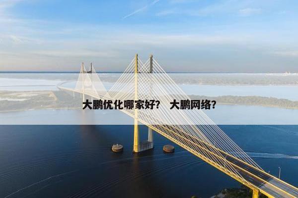 大鹏优化哪家好？ 大鹏网络？