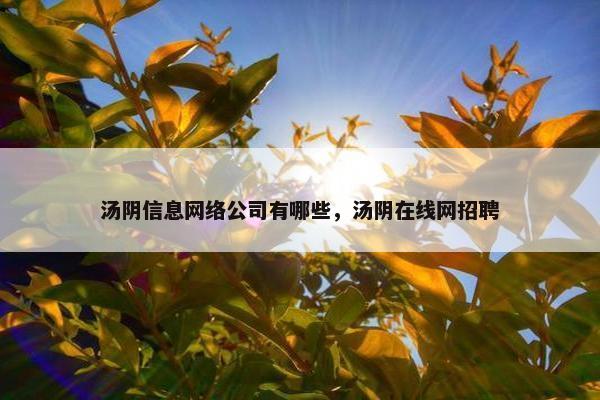 汤阴信息网络公司有哪些，汤阴在线网招聘