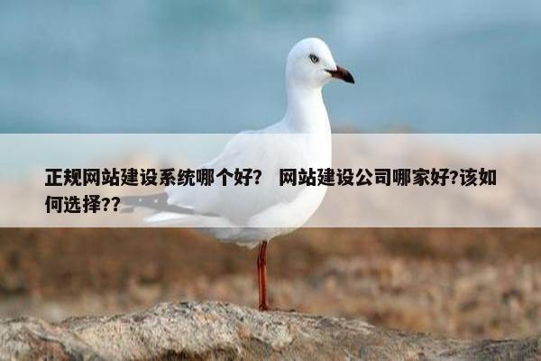 正规网站建设系统哪个好？ 网站建设公司哪家好?该如何选择?？
