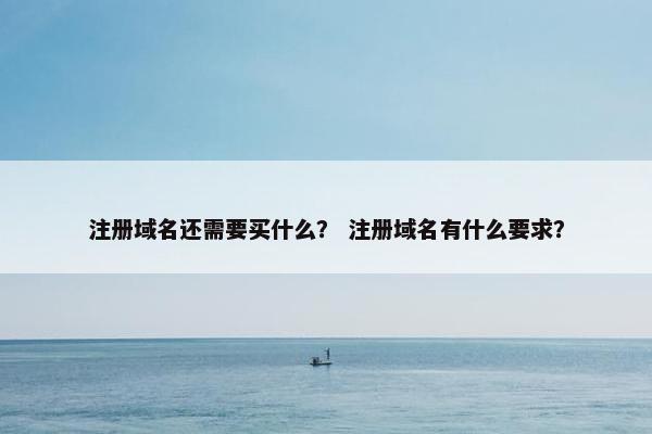 注册域名还需要买什么？ 注册域名有什么要求？