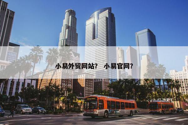 小易外贸网站？ 小易官网？