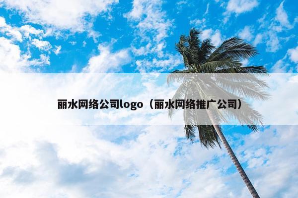 丽水网络公司logo（丽水网络推广公司）