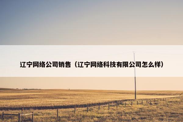 辽宁网络公司销售（辽宁网络科技有限公司怎么样）