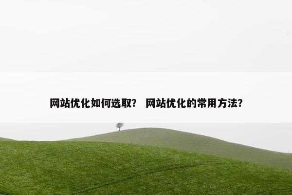 网站优化如何选取？ 网站优化的常用方法？