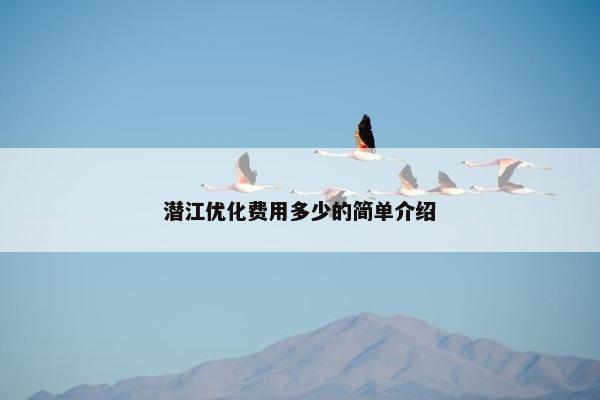 潜江优化费用多少的简单介绍
