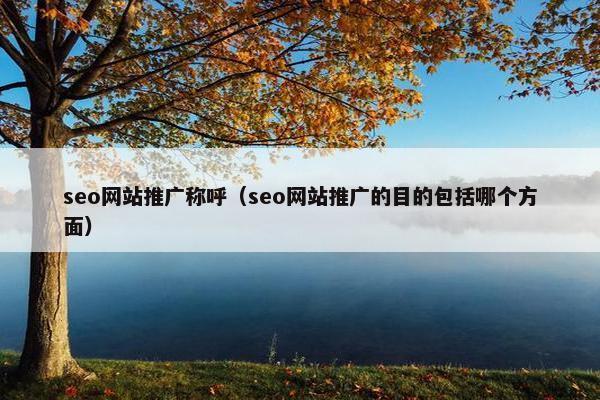 seo网站推广称呼（seo网站推广的目的包括哪个方面）