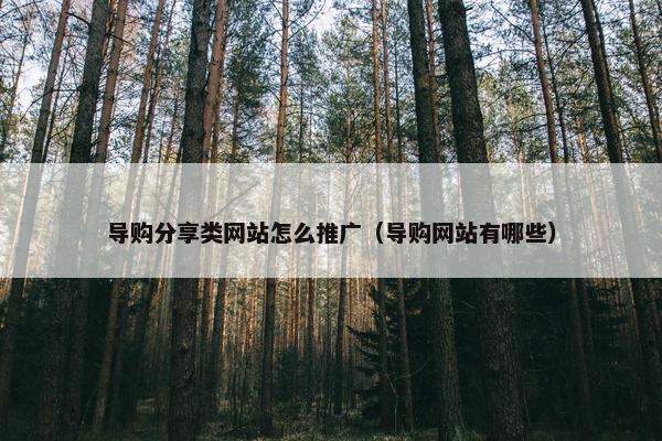 导购分享类网站怎么推广（导购网站有哪些）