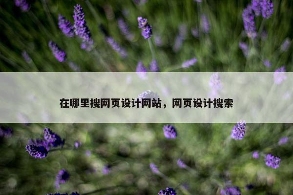 在哪里搜网页设计网站，网页设计搜索