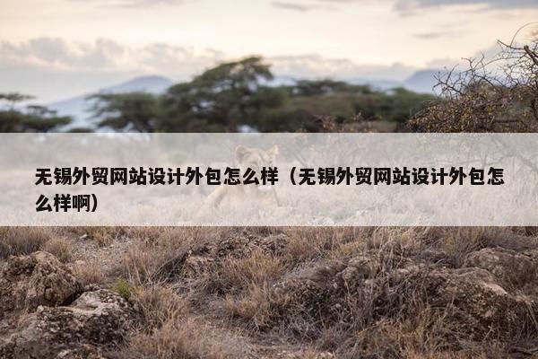 无锡外贸网站设计外包怎么样（无锡外贸网站设计外包怎么样啊）