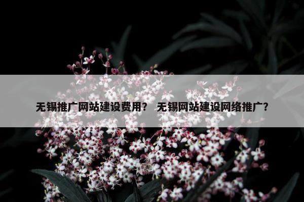 无锡推广网站建设费用？ 无锡网站建设网络推广？