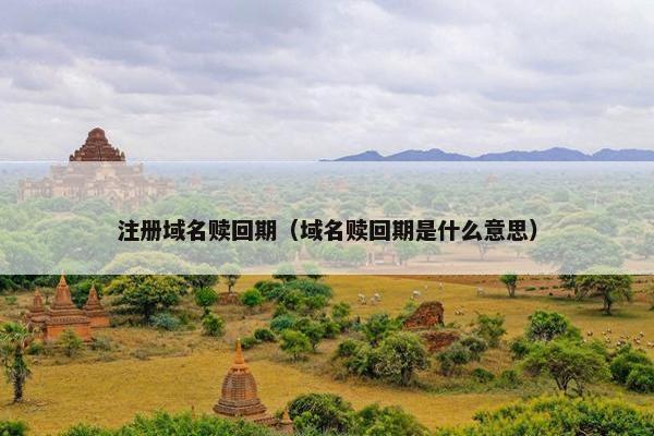 注册域名赎回期（域名赎回期是什么意思）