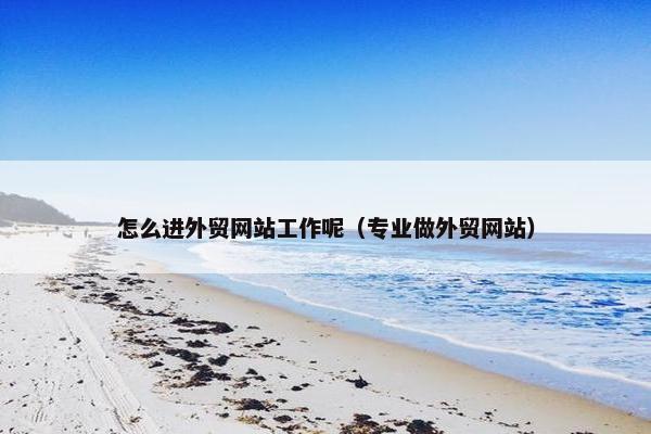 怎么进外贸网站工作呢（专业做外贸网站）