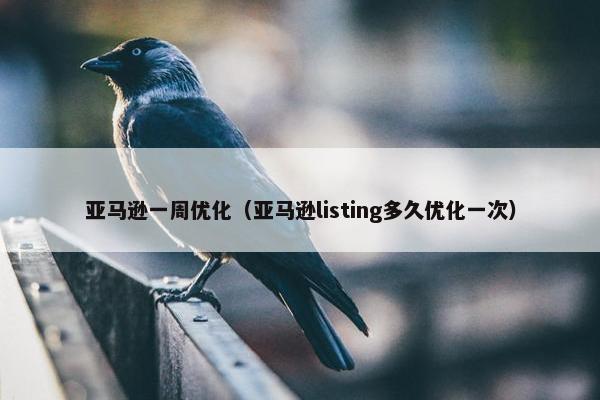 亚马逊一周优化（亚马逊listing多久优化一次）