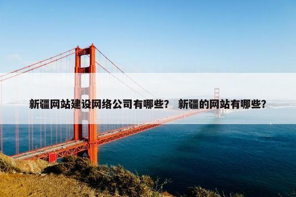 新疆网站建设网络公司有哪些？ 新疆的网站有哪些？