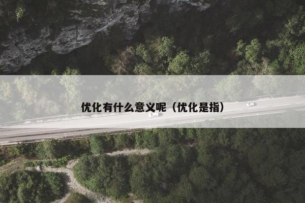 优化有什么意义呢（优化是指）