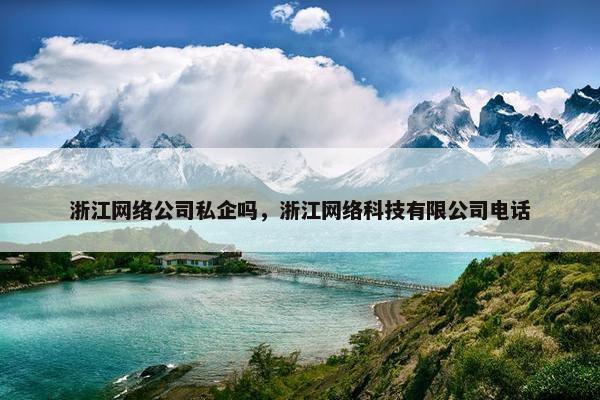 浙江网络公司私企吗，浙江网络科技有限公司电话