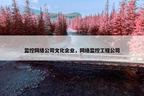 监控网络公司文化企业，网络监控工程公司