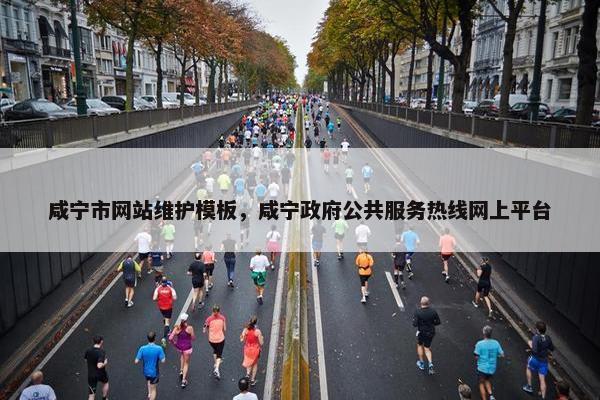 咸宁市网站维护模板，咸宁政府公共服务热线网上平台