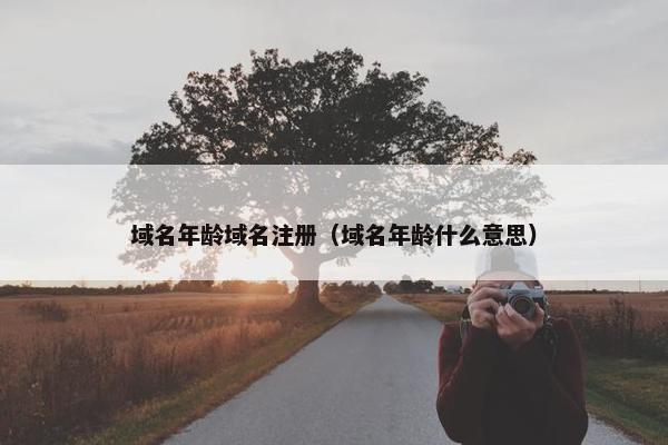域名年龄域名注册（域名年龄什么意思）